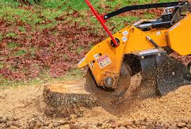 Best Tree Health Inspection  in Mcpherson, KS
