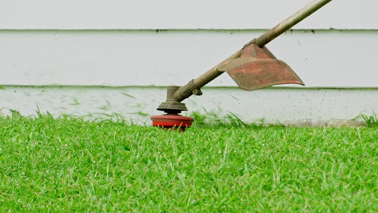 Best Tree and Shrub Care  in Mcpherson, KS