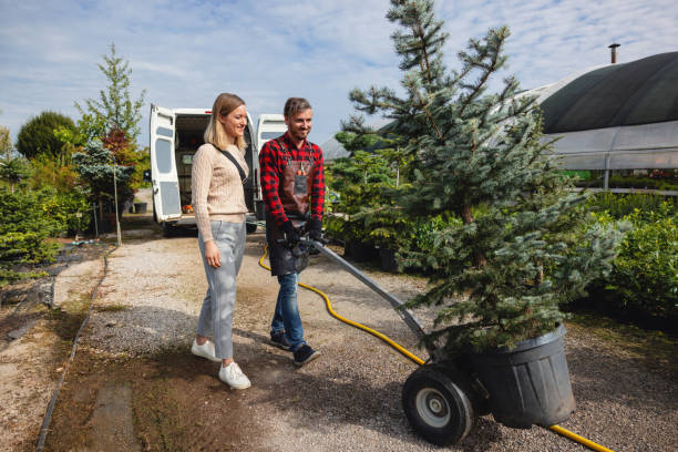Best Storm Damage Tree Cleanup  in Mcpherson, KS